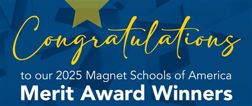 MSA Merit Award Winners